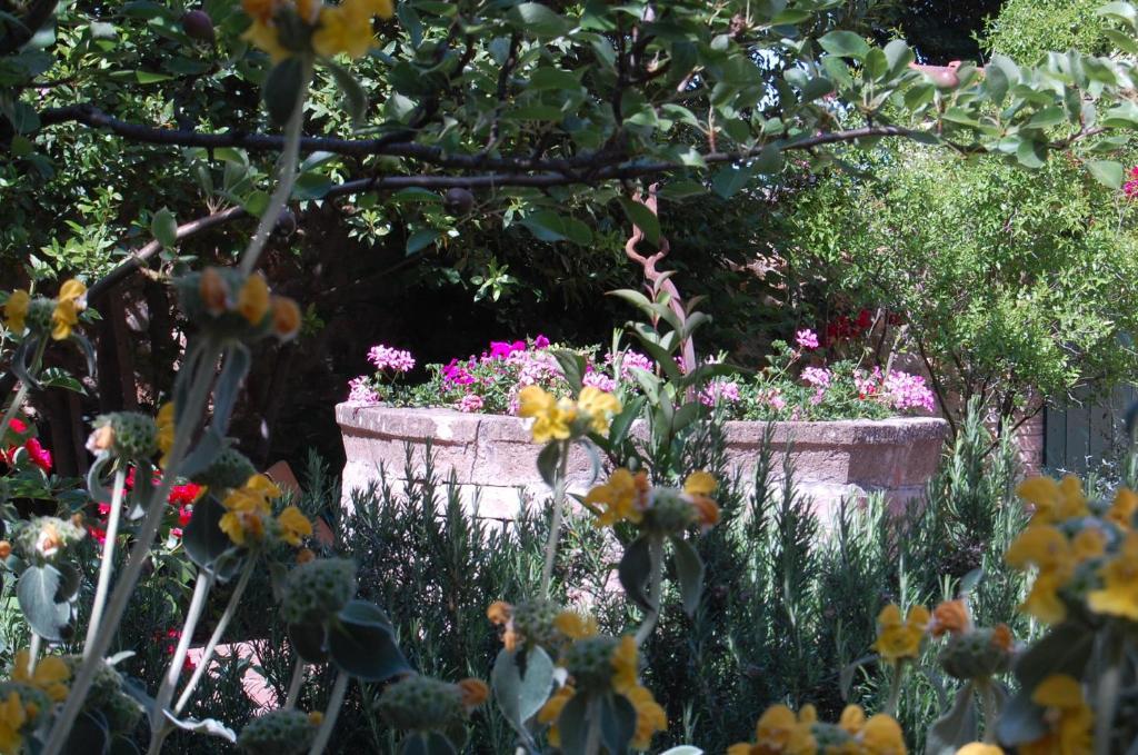 Il Giardino Segreto Hotel Pienza Kültér fotó